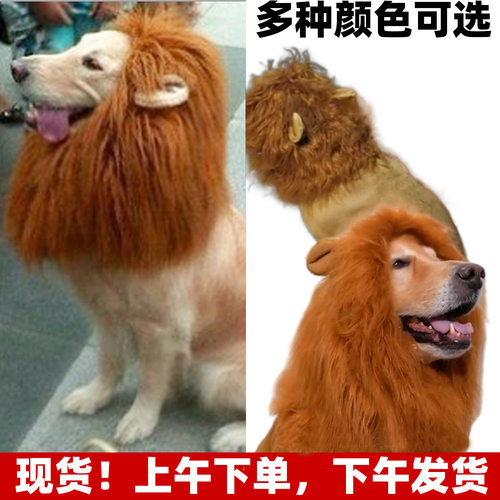 宠物变身搞怪狗带耳朵狮子假