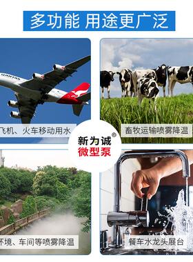 新为诚包邮迷你电动12v24伏自吸直流微型水泵工业级质量ASP2015