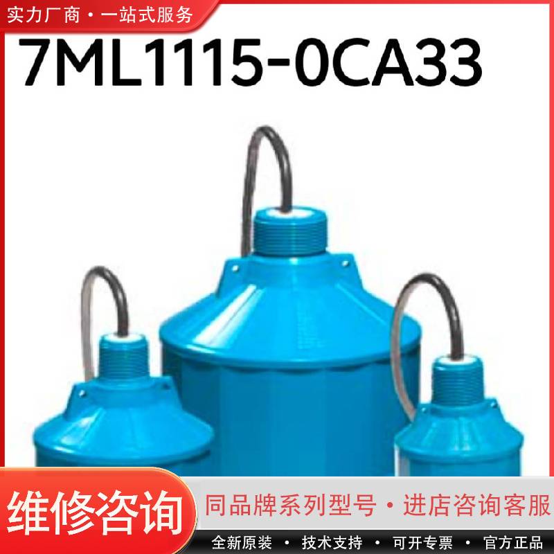 正品7ML1115-0CA33，实体经可维修