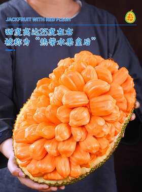 海南红肉菠萝蜜应季树上熟新鲜水果一整个红心波罗蜜整箱包邮