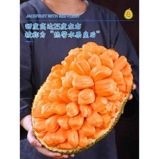 越南紅肉菠蘿蜜18斤應季 包郵 樹上熟新鮮水果一整個紅心波羅蜜整箱