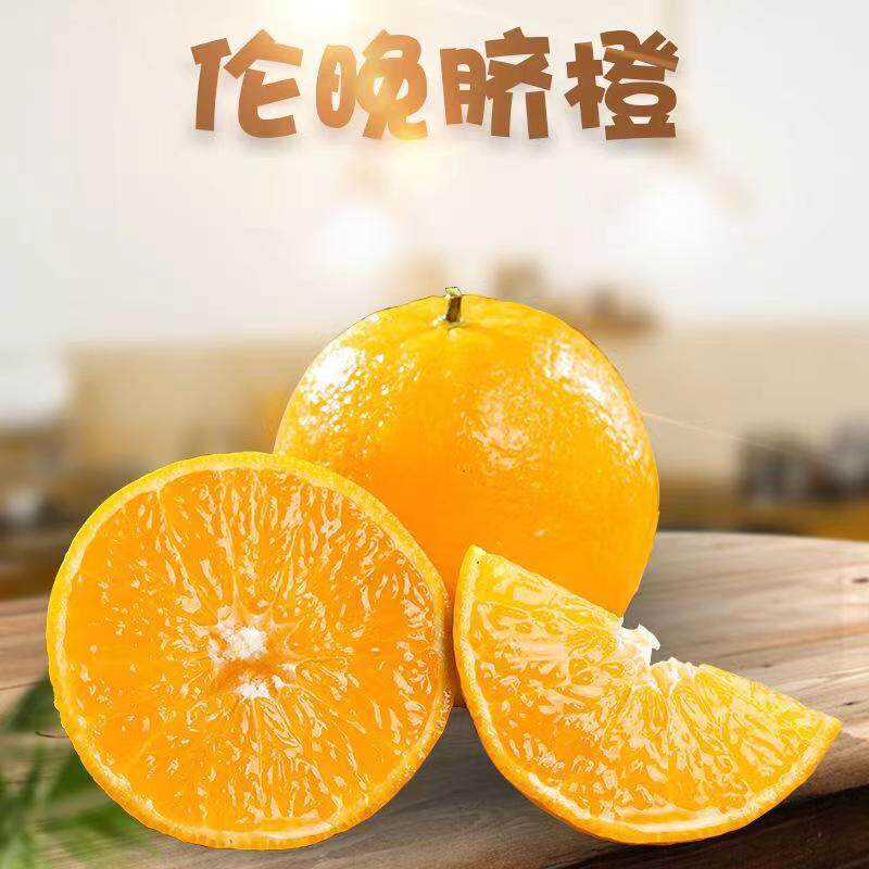 伦晚脐橙子新鲜10斤夏湖北图片