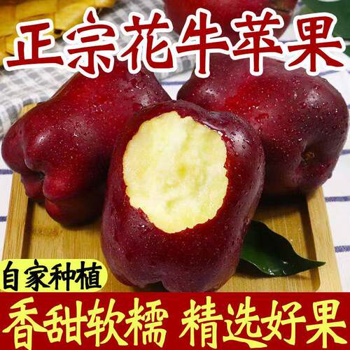 新鲜花牛苹果蛇红粉面沙甜婴儿辅食水果刮泥宝宝老人吃面苹果包邮
