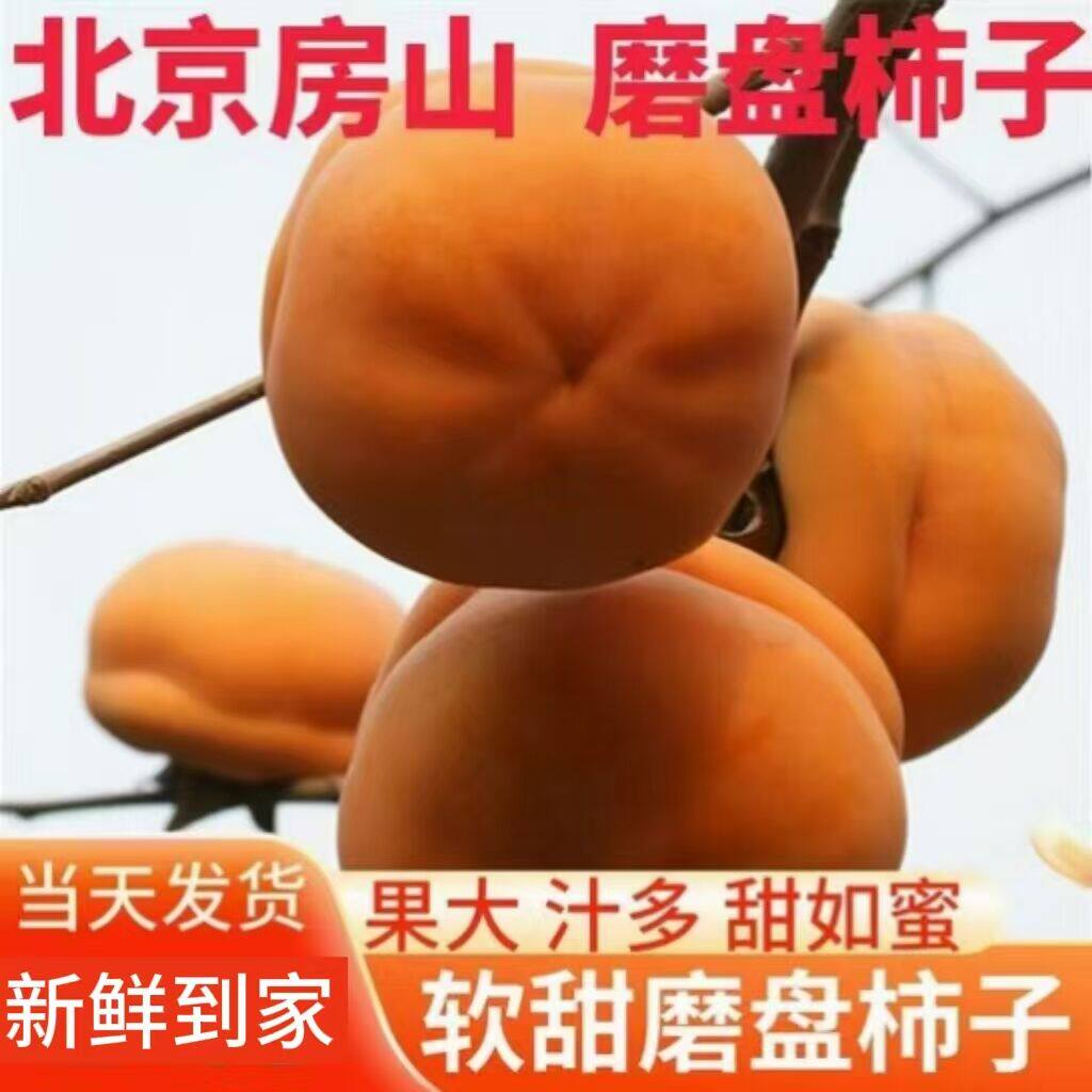 北京房山特大磨盘柿子新鲜甜软盆柿盘柿5斤非脆柿可做冻柿揽柿子