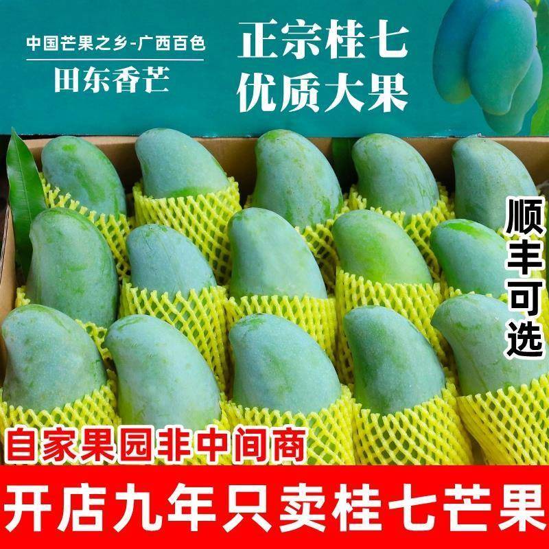 广西百色田东桂七芒果新鲜热带水果当季现摘香甜芒果10斤整箱包邮