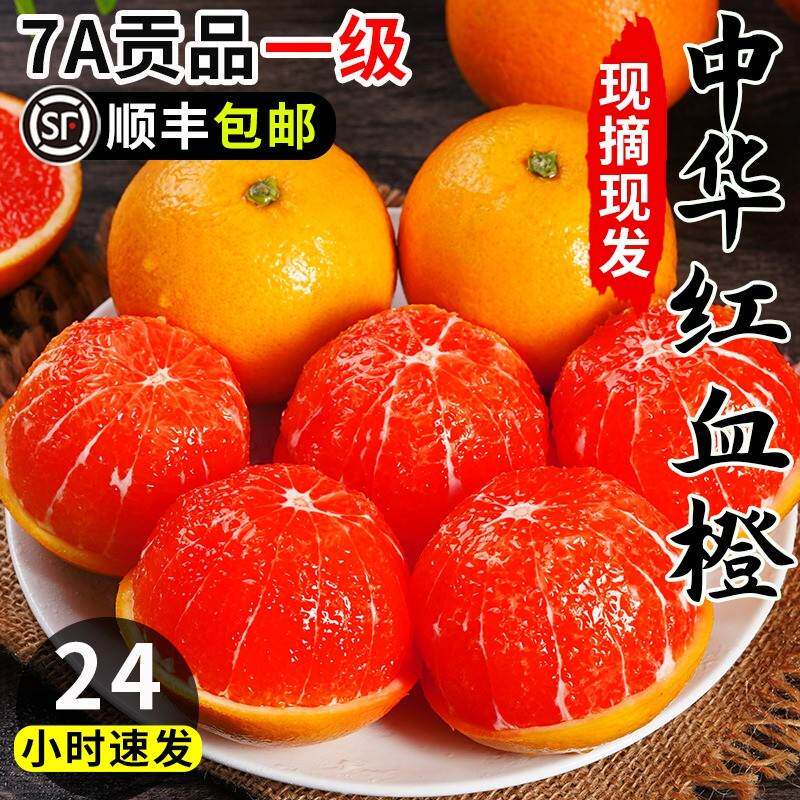 血橙10斤秭归中华红橙子当季新鲜水果红心肉甜脐整箱孕妇手剥雪橙