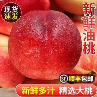 顺丰 新鲜正宗油桃5斤现货现发应季桃子新鲜水果大果味甜包邮