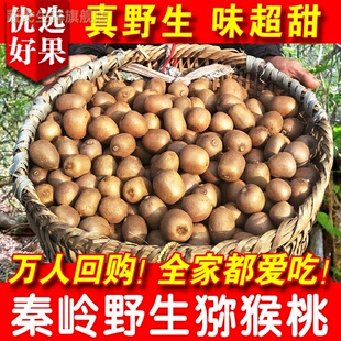 野生猕猴桃新鲜秦岭野生小猕猴桃迷猴应季孕妇水果泡酒弥猴桃