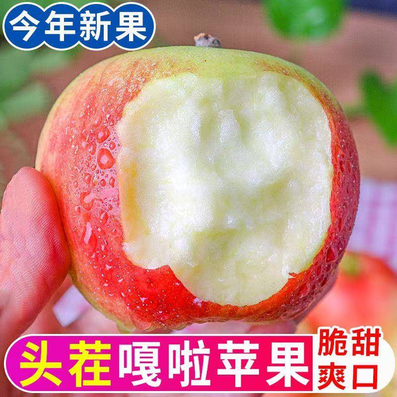 嘎啦苹果苹果酸甜儿包邮