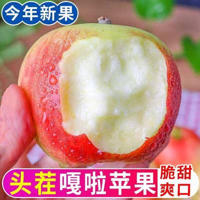 嘎啦苹果苹果酸甜儿包邮