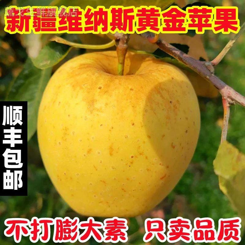 新疆维纳斯黄金苹果水果新鲜现摘奶油富士丑苹果,水产肉类/新鲜蔬果/熟食,苹果,淘宝优惠券,粉丝福利购,淘宝优惠卷