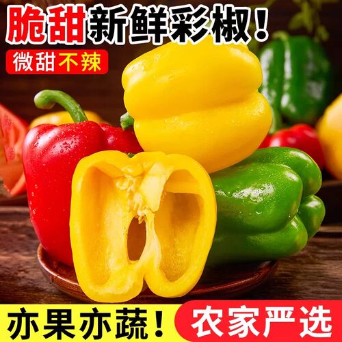 现摘三色椒寿光特产新鲜水果甜椒5斤装清甜无辣生食彩椒蔬菜水果