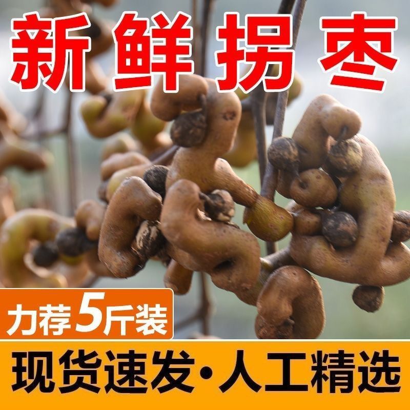 云南野生拐枣现摘现发秦岭旬阳万寿果鸡爪梨金钩子生吃泡酒 1/5斤