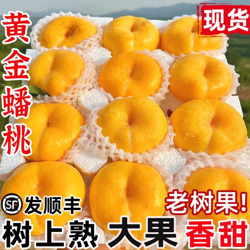 蒙阴黄金蟠桃新鲜应季孕妇水果黄心彩虹毛油桃脆甜扁桃子顺丰包邮