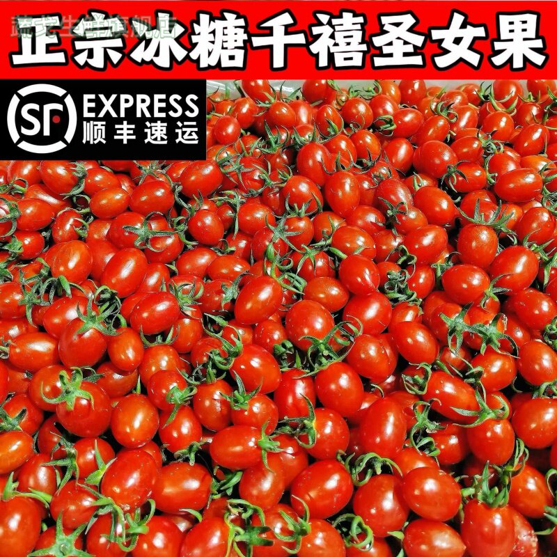 正宗玲珑千禧圣女果超甜樱桃小番番茄