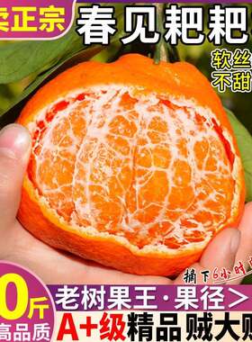 春见耙耙柑20斤水果新鲜当季整箱丑八怪桔子粑粑柑9