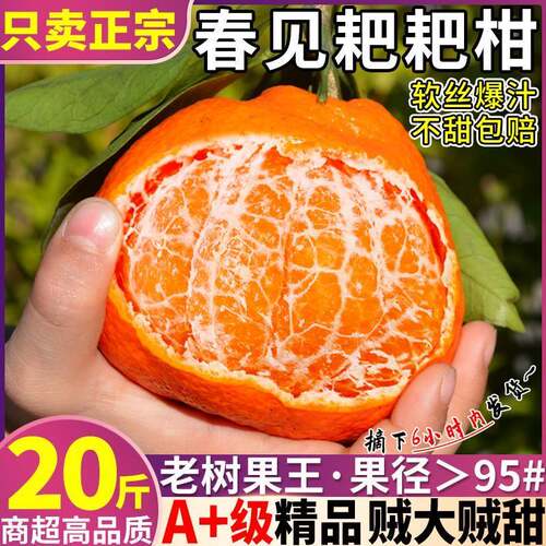 春见耙耙柑20斤水果新鲜当季整箱丑八怪桔子粑粑柑9