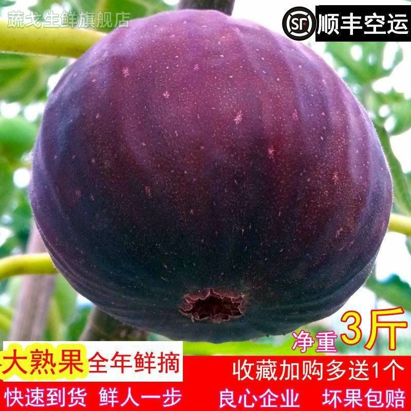 【顺丰空运】新鲜无花果全年鲜摘大熟果云南孕妇应季水果 净重3斤,水产肉类/新鲜蔬果/熟食,无花果,淘宝优惠券,粉丝福利购,淘宝优惠卷