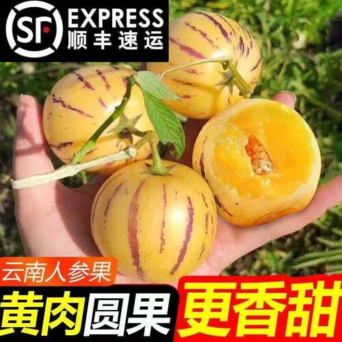 正宗云南石林人参果当季新鲜水果人叁人生果树上熟圆黄肉整箱包邮
