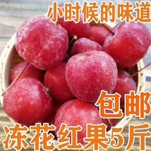 东北冻花红果海棠果 海红果沙果孕妇水果新鲜速冻酸甜多汁5斤包邮