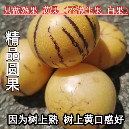 粒味果参吃季接圆全【到