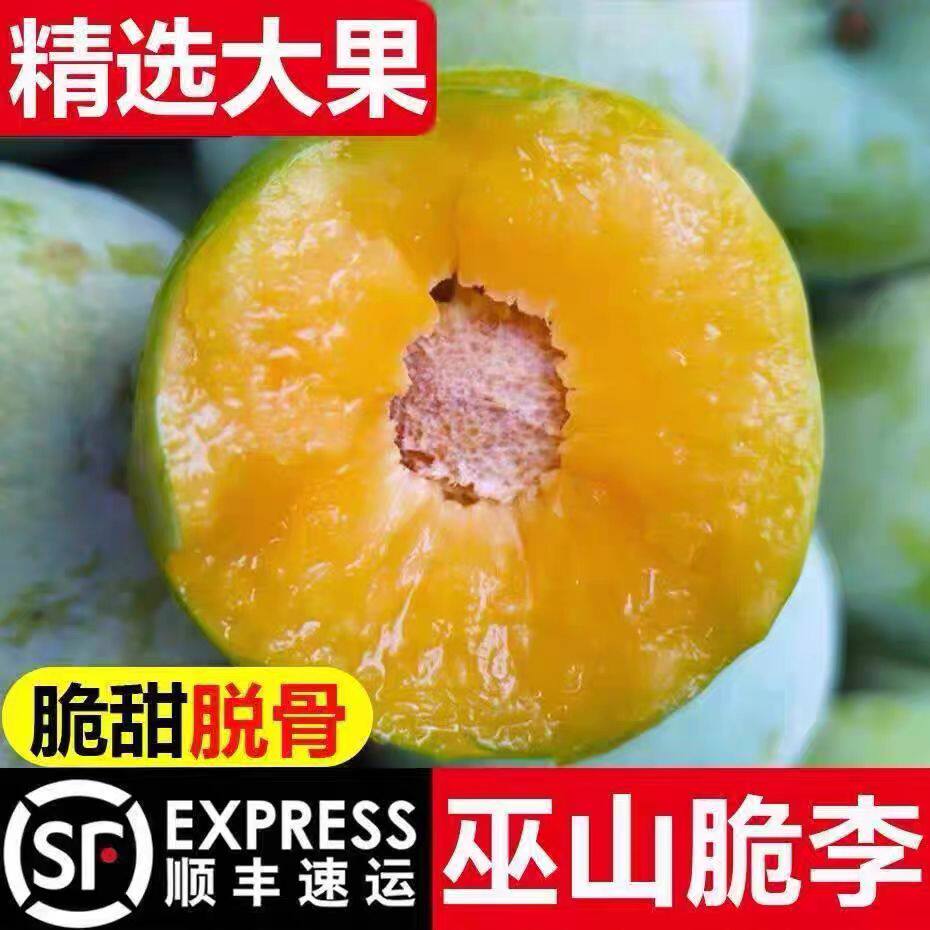 巫山脆李 重庆脱骨土李子新鲜水果5斤现货四川空心青脆李清甜顺丰