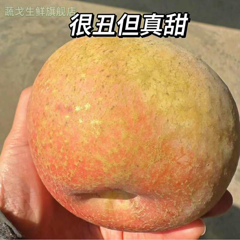 2025头茬红富士 产自江苏丰县大沙河 丑苹果10斤装