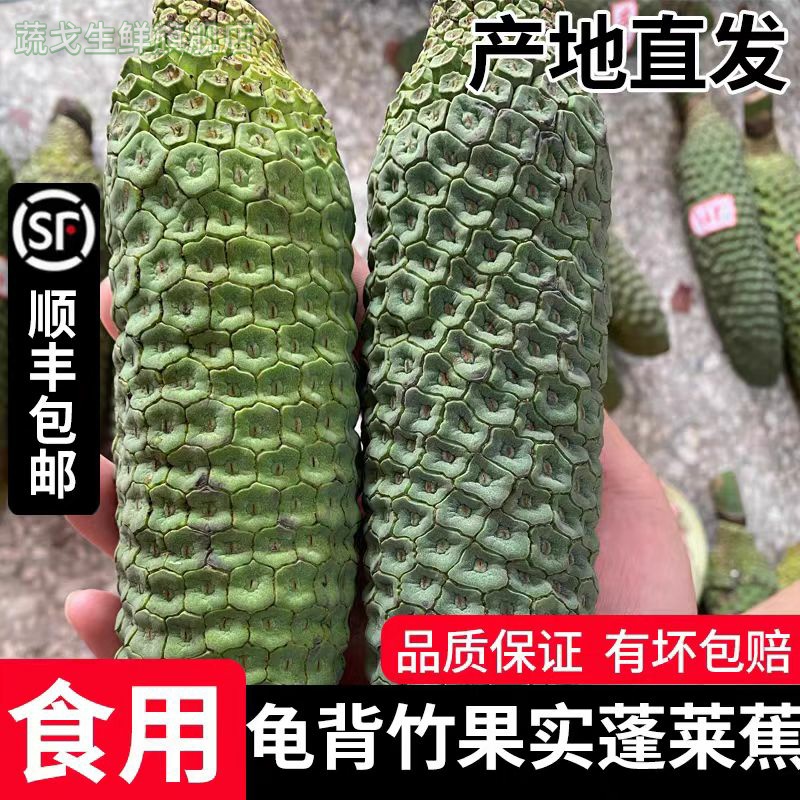 新鲜龟背竹果实蓬莱蕉网红爆款稀有罕见水果 不会催熟联系我们