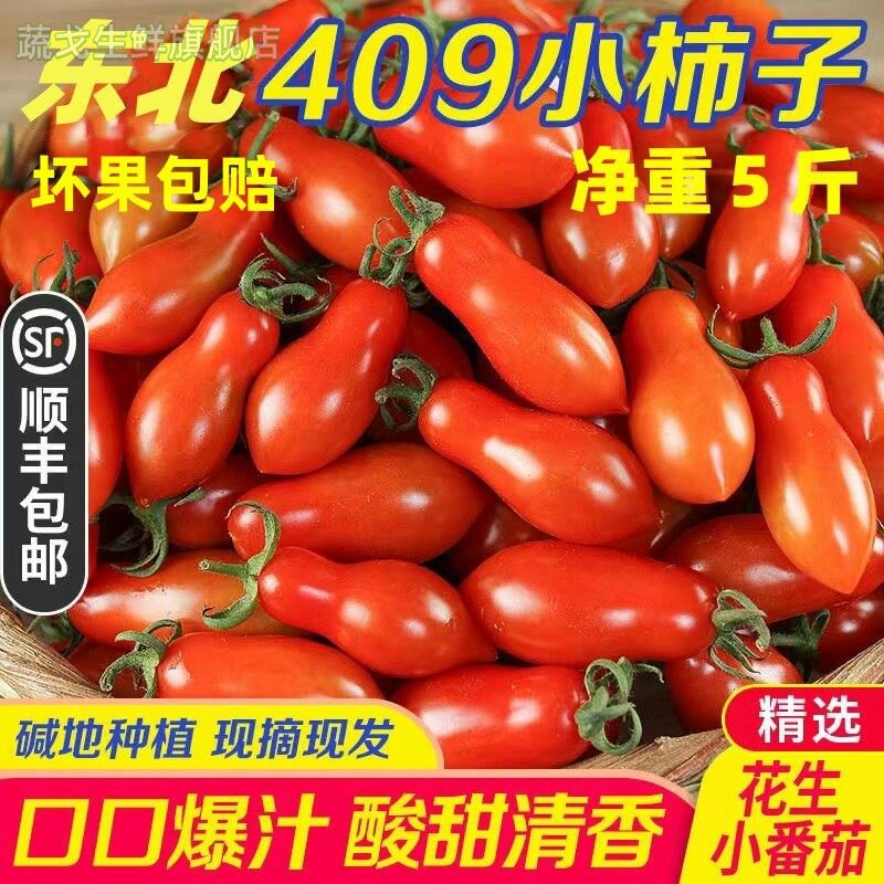 现货409花生小柿子小番茄新鲜新鲜水果蔬菜铁皮草莓非千禧圣女果