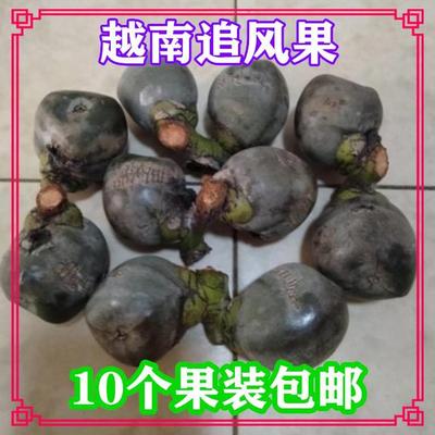 other/其他越南正宗追风