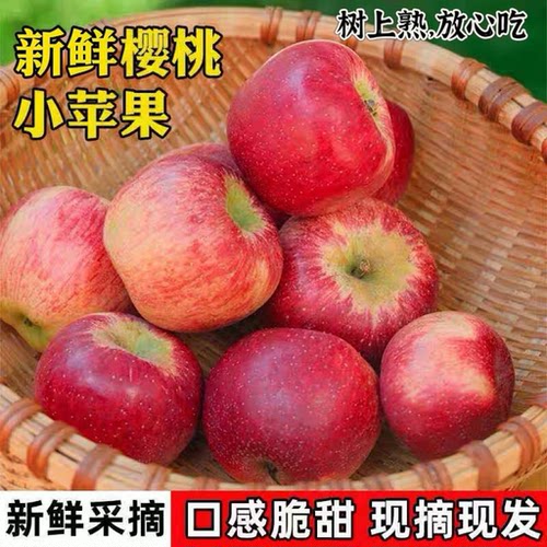当季新鲜樱桃小苹果新鲜水果现摘当季冰糖心红富士萍果孕妇嘎啦果