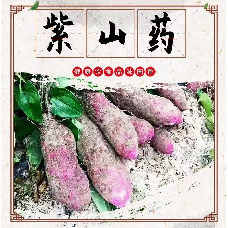云南紫山药脚板署新鲜5斤脚板薯紫大薯江西紫淮山毛薯