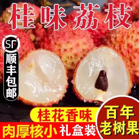 广东增城桂味荔枝当季新鲜水果五斤妃白子糖采摘整箱专属冷链包邮