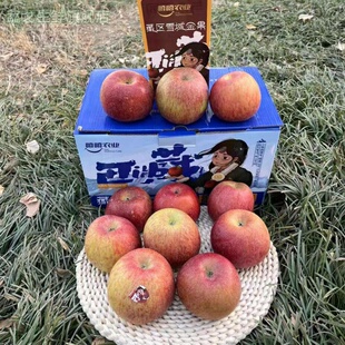 【顺丰礼盒】西域香妃精品红富士苹果精美礼盒装大果新鲜静宁苹果