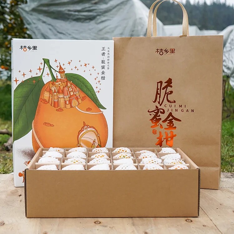 脆蜜金柑桔乡里融安脆蜜金桔无籽金桔新鲜水果整箱顺丰包邮