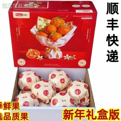 白富美春见粑粑柑原箱礼盒橘子