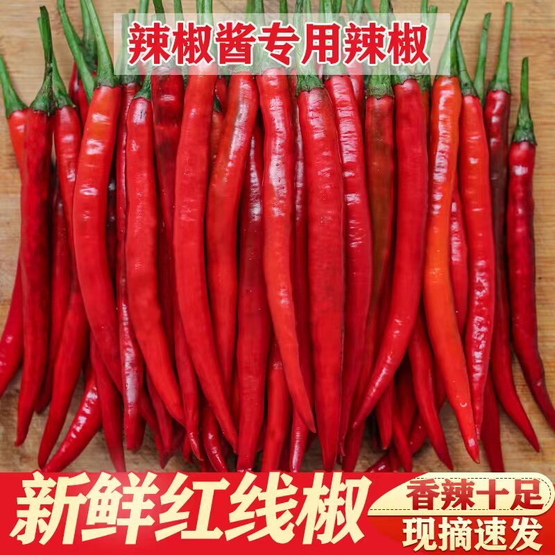 现摘新鲜红二荆条红线椒红辣椒5斤农家自种泡椒剁椒包邮红辣椒