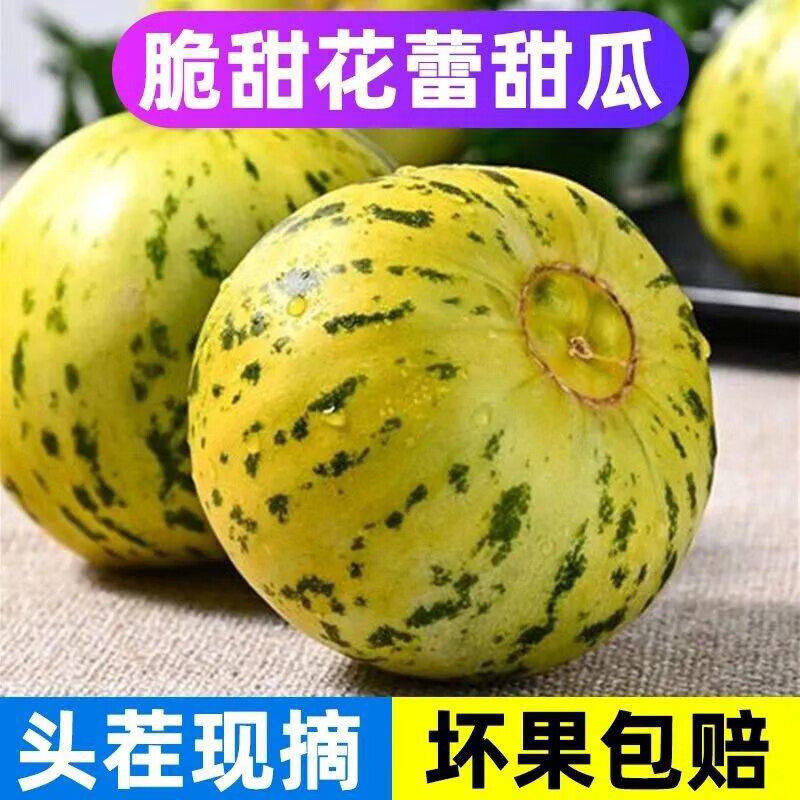 正宗八里香甜瓜5斤应当季水果现摘脆甜香花皮花蕾花姑娘整箱