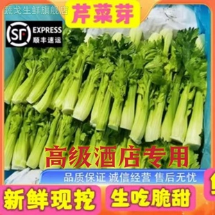清芹芽新鲜特色蔬菜云南高原水果青芹芽西芹嫩芽餐饮特色食材3斤