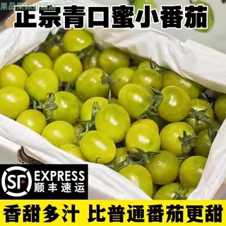正宗青口蜜小番茄新鲜清甜千禧圣女果青色小西红柿子现摘孕妇水果
