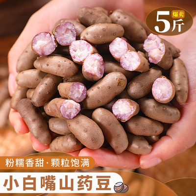 新鲜小白嘴山药豆长豆子糯面香甘非白玉铁棍中大果冰糖葫芦山药豆
