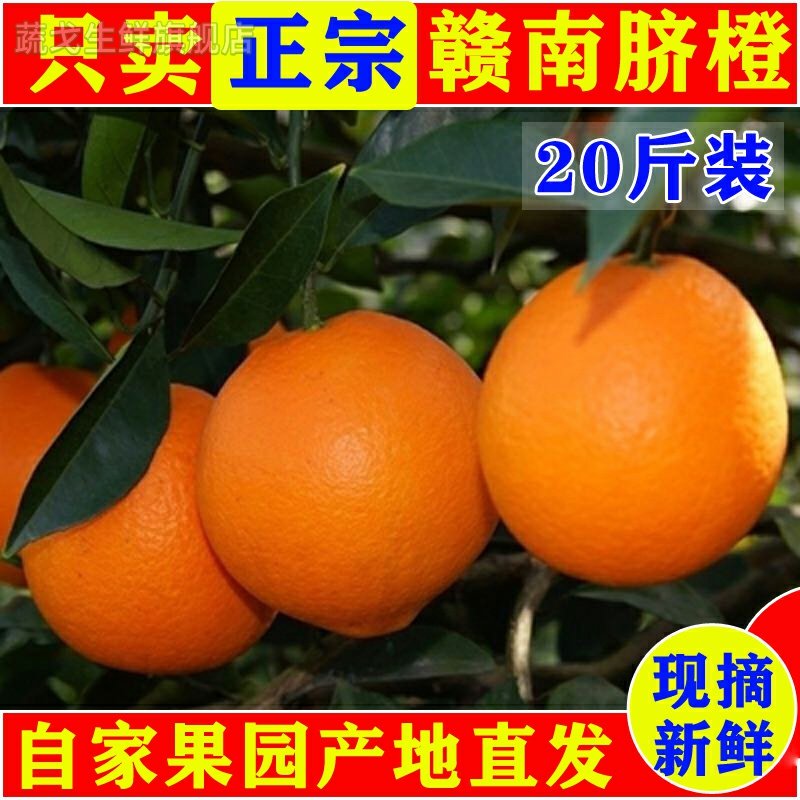 江西正宗赣南脐橙20斤装赣州寻乌甜橙子新鲜水果现摘特级产地直发,水产肉类/新鲜蔬果/熟食,橙,淘宝优惠券,粉丝福利购,淘宝优惠卷