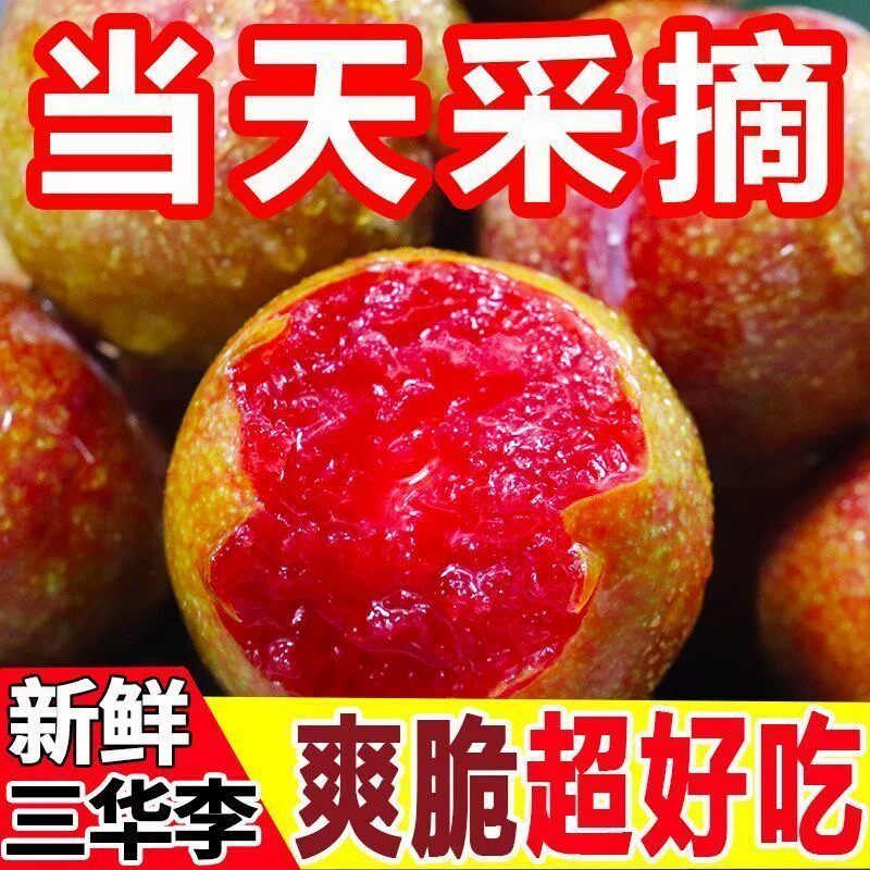 云南玉溪红心三华李新鲜现摘酸脆李子当季水果酸脆多汁整箱包邮