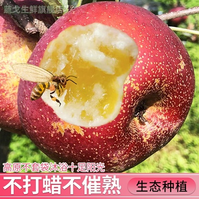 2025正宗四川大凉山丑苹果冰糖心当季新鲜孕妇水果整箱包邮