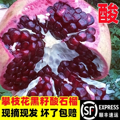 【顺丰】攀枝花黑籽酸石榴鸽血石榴孕妇水果酸甜当季大果泡酒酵素