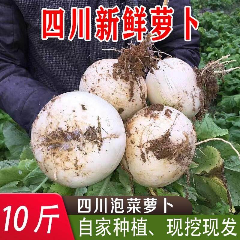 新鲜圆白萝卜 四川农家自种炖汤腌制萝卜干泡菜 现挖时令应季蔬菜,水产肉类/新鲜蔬果/熟食,萝卜/胡萝卜,淘宝优惠券,粉丝福利购,淘宝优惠卷