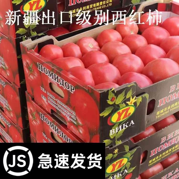 味粒果新疆沙瓤西红柿自