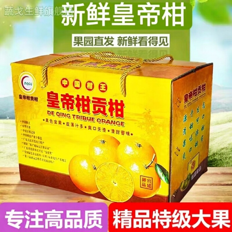 皇帝柑现摘精选特级大果10斤新鲜水果贡柑现摘桔子礼盒装