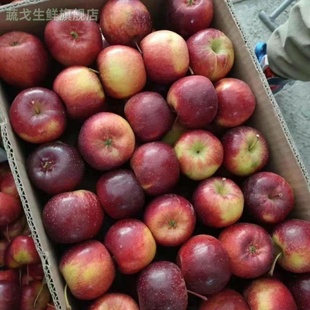 东北龙丰果大秋果整箱5斤新鲜当季水果海棠果沙果酸甜特产小苹果