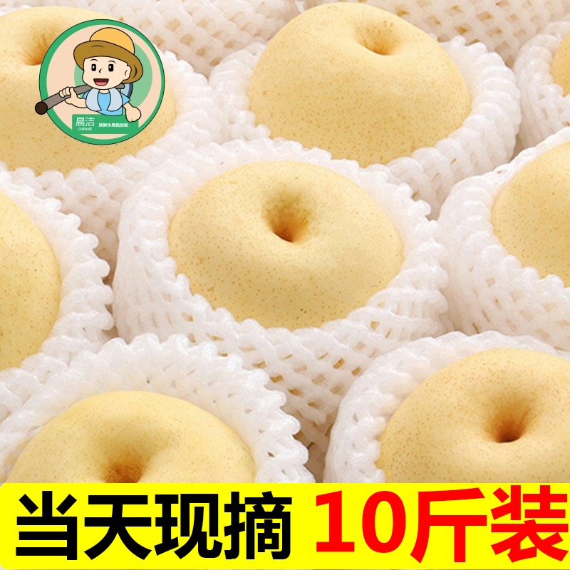 河北皇冠梨10斤梨子新鲜当季水果酥脆梨砀山白梨黄金梨整箱5